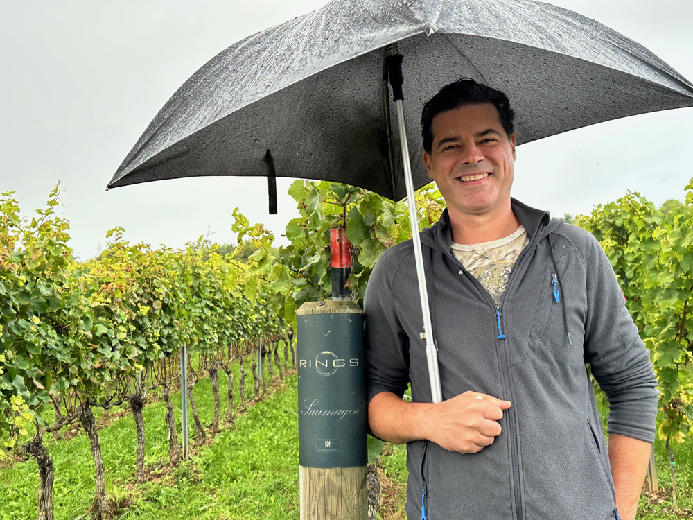 Weingut Rings Saumagen 2