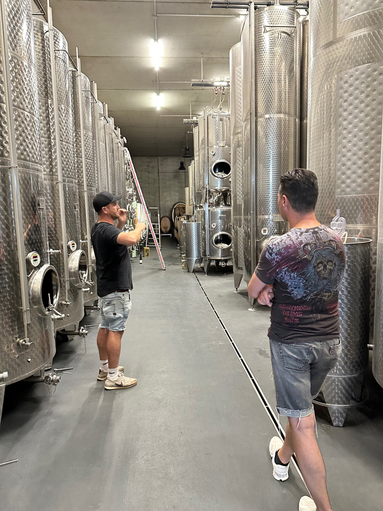 Weingut Rings Weissweinkeller Edelstahl